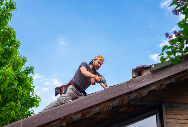 Best Roof Moss and Algae Removal  in Wabash, IN